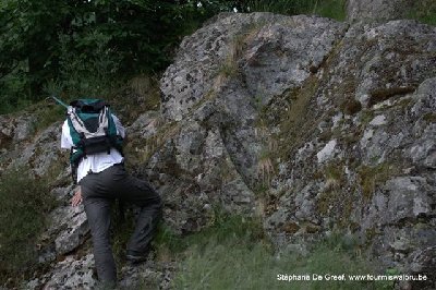 Site à M.schencki et diverses Temnothorax, le long de la Moselotte