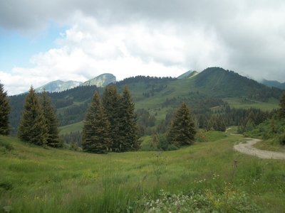 Prairie d'altitude au dessus des Gets.