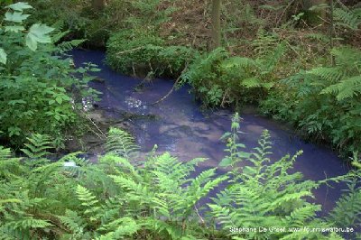 Une rivière bleue