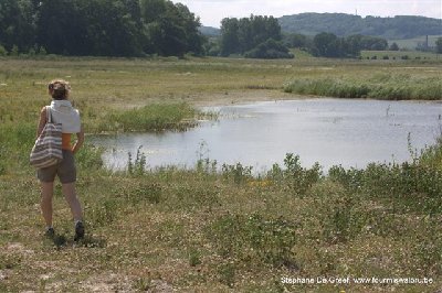 Bras mort le long de la Moselle