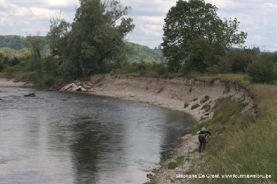 La Moselle : site à hirondelles de rivage et à Formica sp