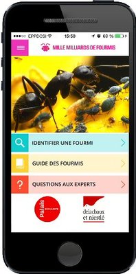 Appli-Phone-Com-fourmis.jpg