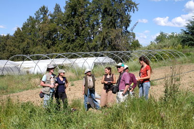 agriculture biologique Aleria.JPG